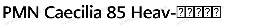 PMN Caecilia 85 Heav字体转换
